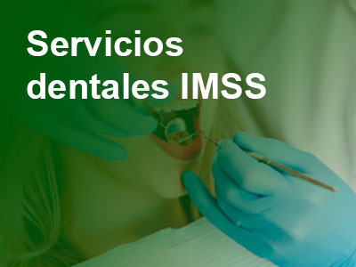 Servicio dental IMSS