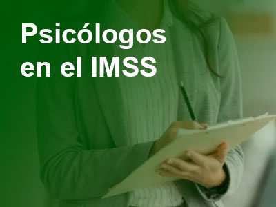 Psicólogos en el IMSS: Requisitos y Servicios